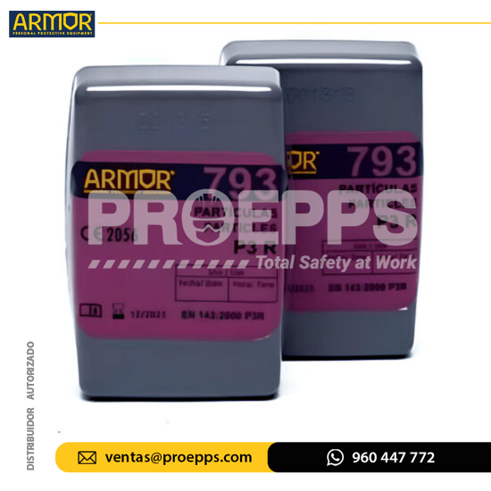 Filtro Armor 793 P3 (P100)
